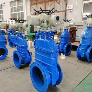 電動(dòng)閘閥Z941h -64 DN500（石化行業(yè)、煉油廠